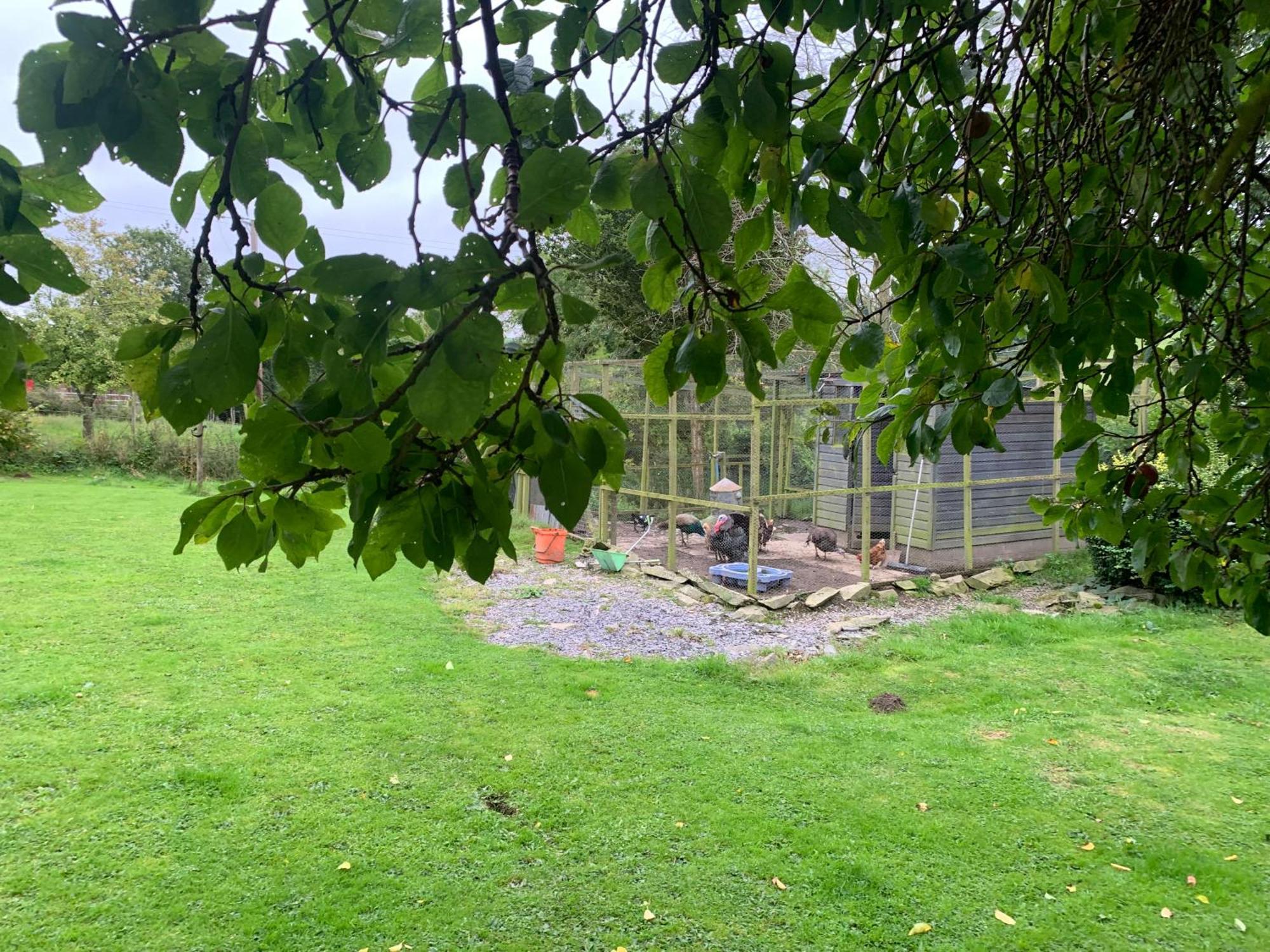 Stunning 2-Bed Cabin In Nantglyn Denbigh Extérieur photo