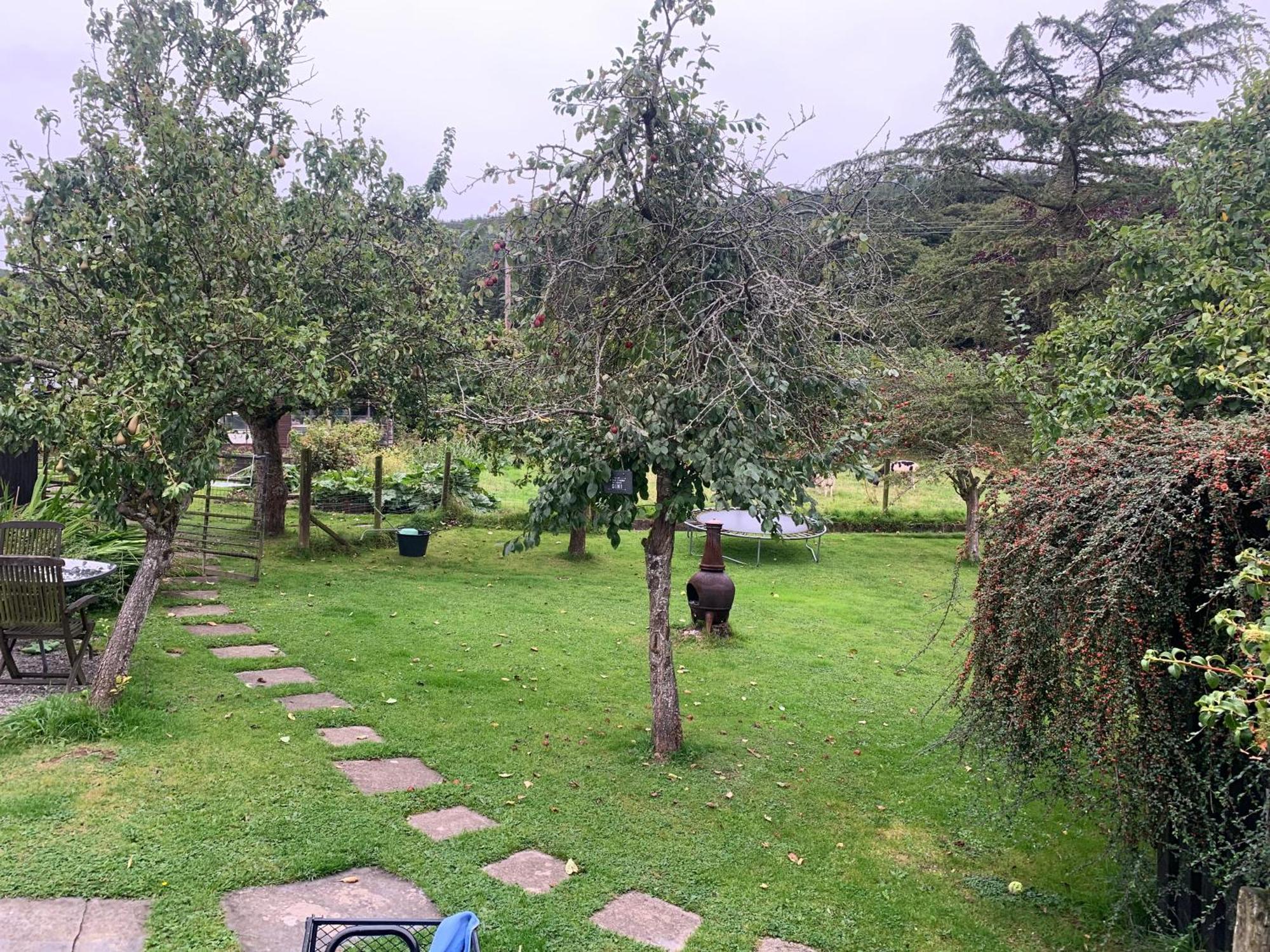 Stunning 2-Bed Cabin In Nantglyn Denbigh Extérieur photo