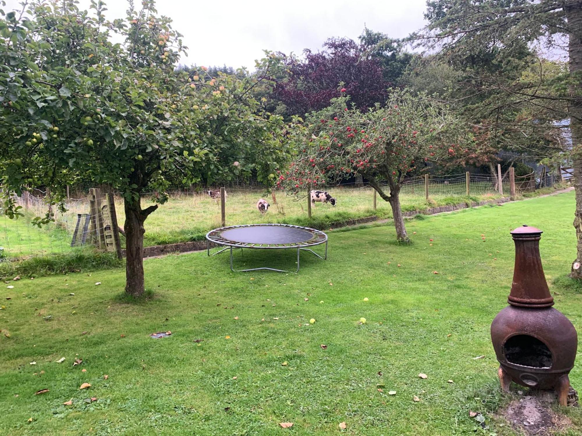 Stunning 2-Bed Cabin In Nantglyn Denbigh Extérieur photo